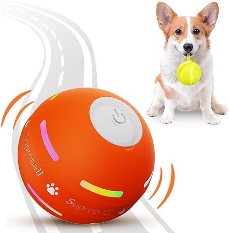 Furry Family Matters: The Basics of Responsible Pet Ownership: Innovative Pet Technology: Best Gadgets This year!