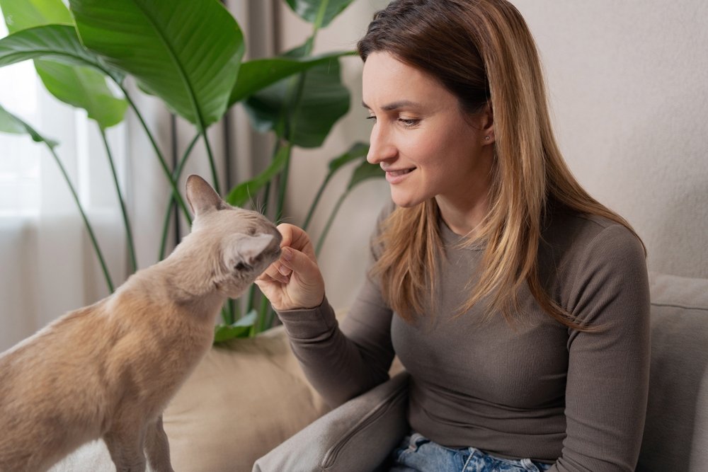 Women's owner giving his cat